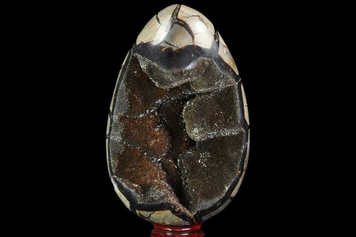 Septarian Dragon Egg Geode - Black Crystals #98873